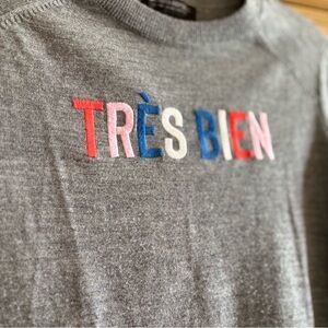 Banana Republic Gray Merino Sweater